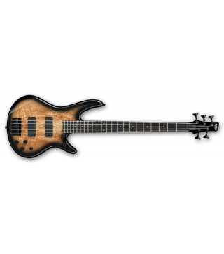 Ibanez SR205SM NGT Electric Bass Guitar (5 String) 
